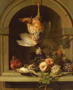 Still Life